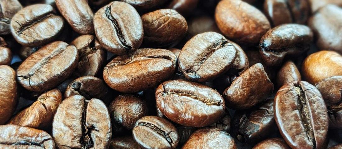 Grains de café fraîchement torréfiés en gros plan